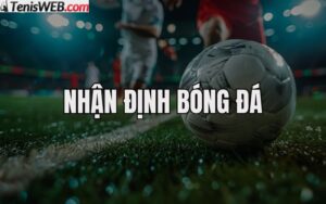 nhan-dinh-ty-le-keo-nha-cai-bong-da-duc-vs-scotland-euro-2024